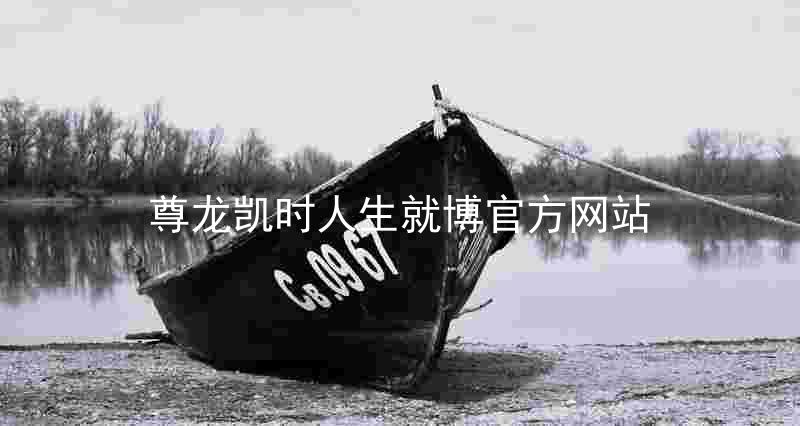 尊龙凯时人生就博官方网站