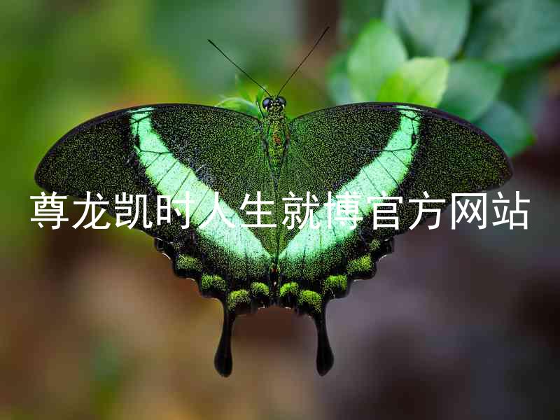 尊龙凯时人生就博官方网站